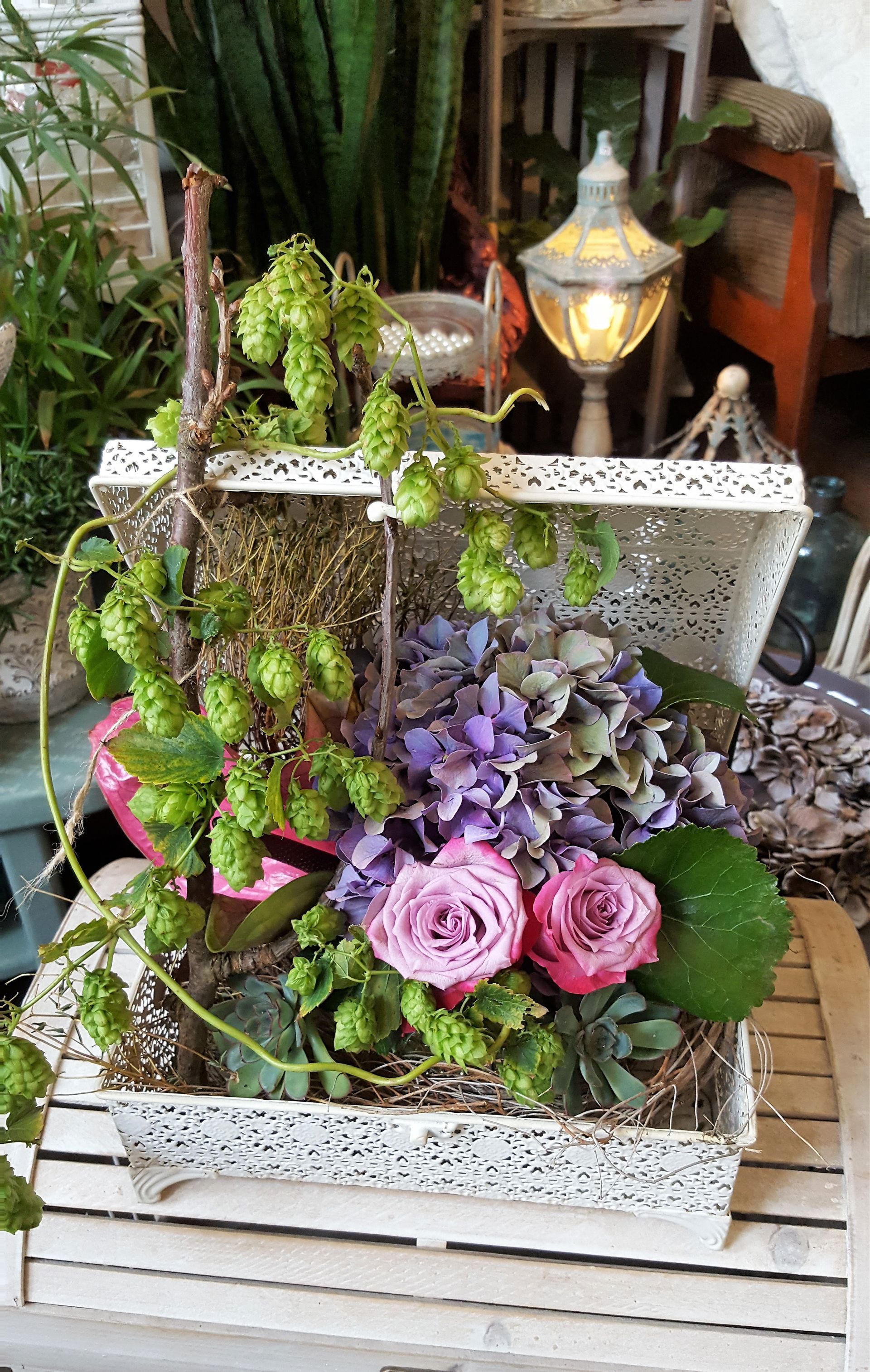 Blumenkiste - Blumen Habitus