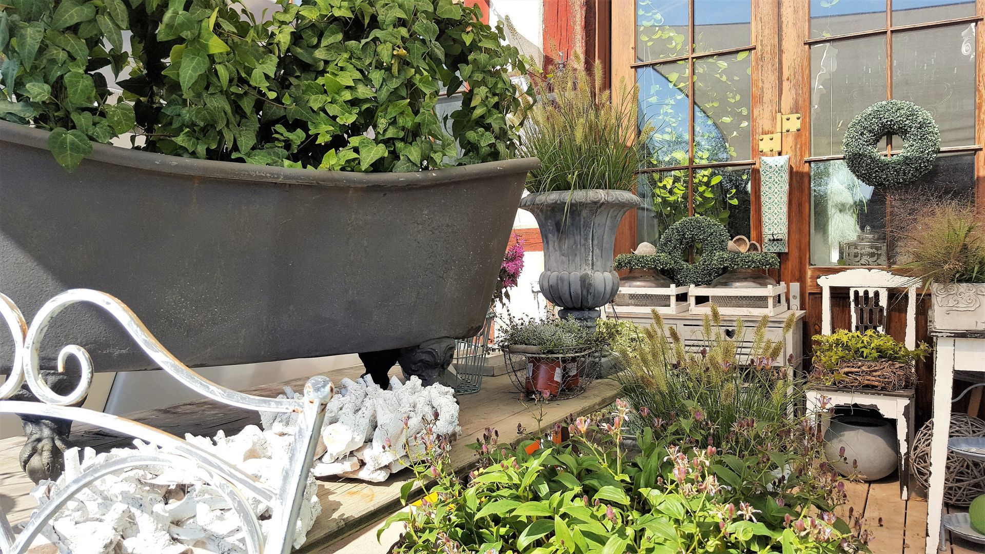 Blumen aussen - Blumen Habitus