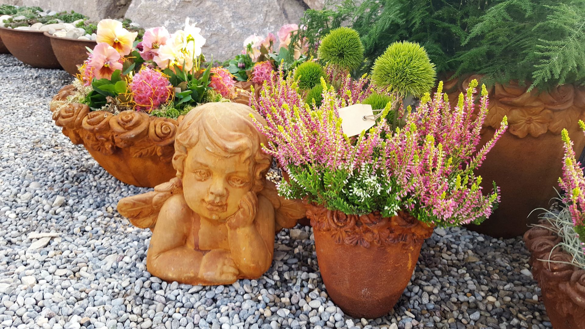 Gartenblumen - Blumen Habitus