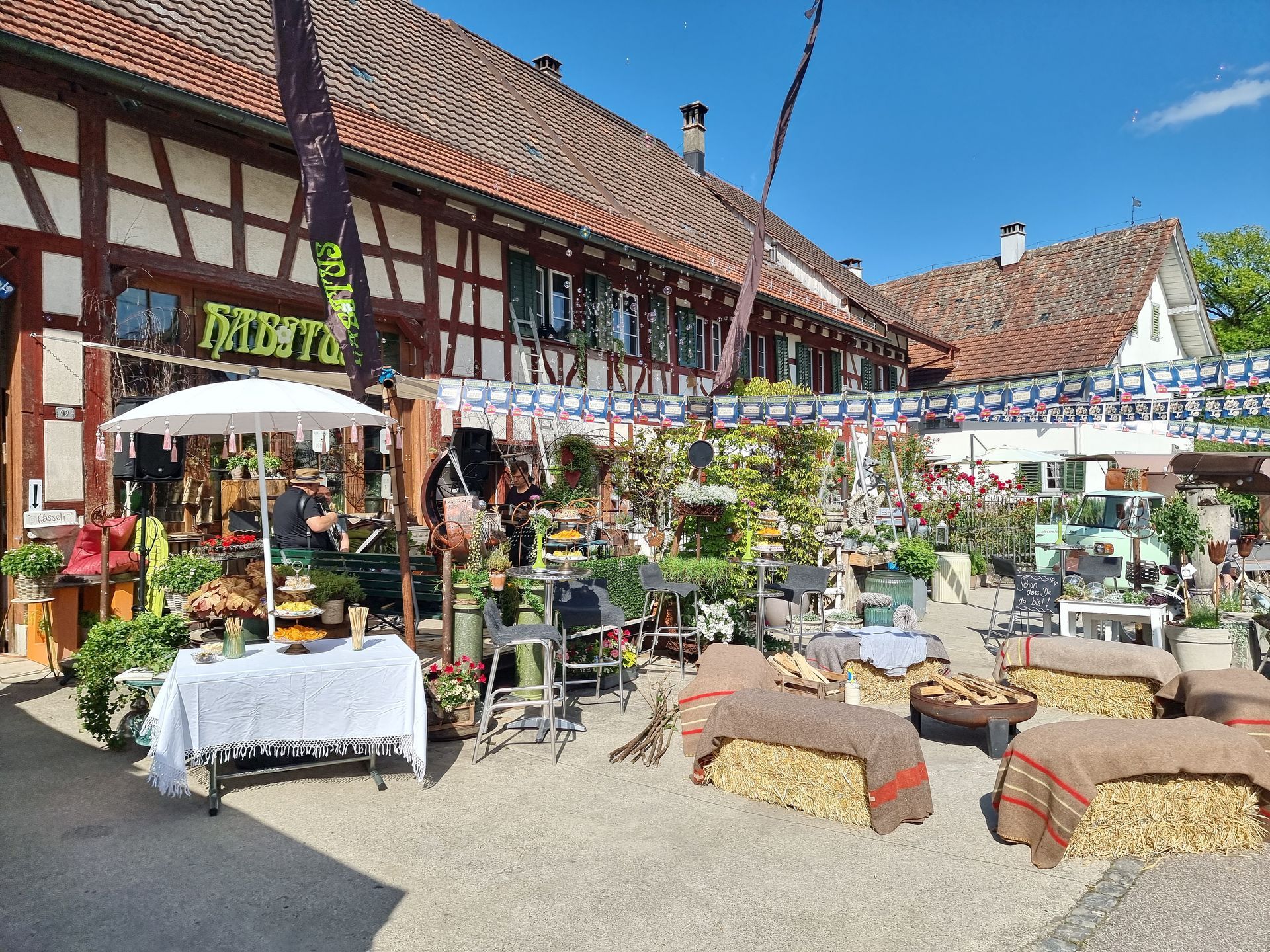 Blumen Habitus | Marthalen