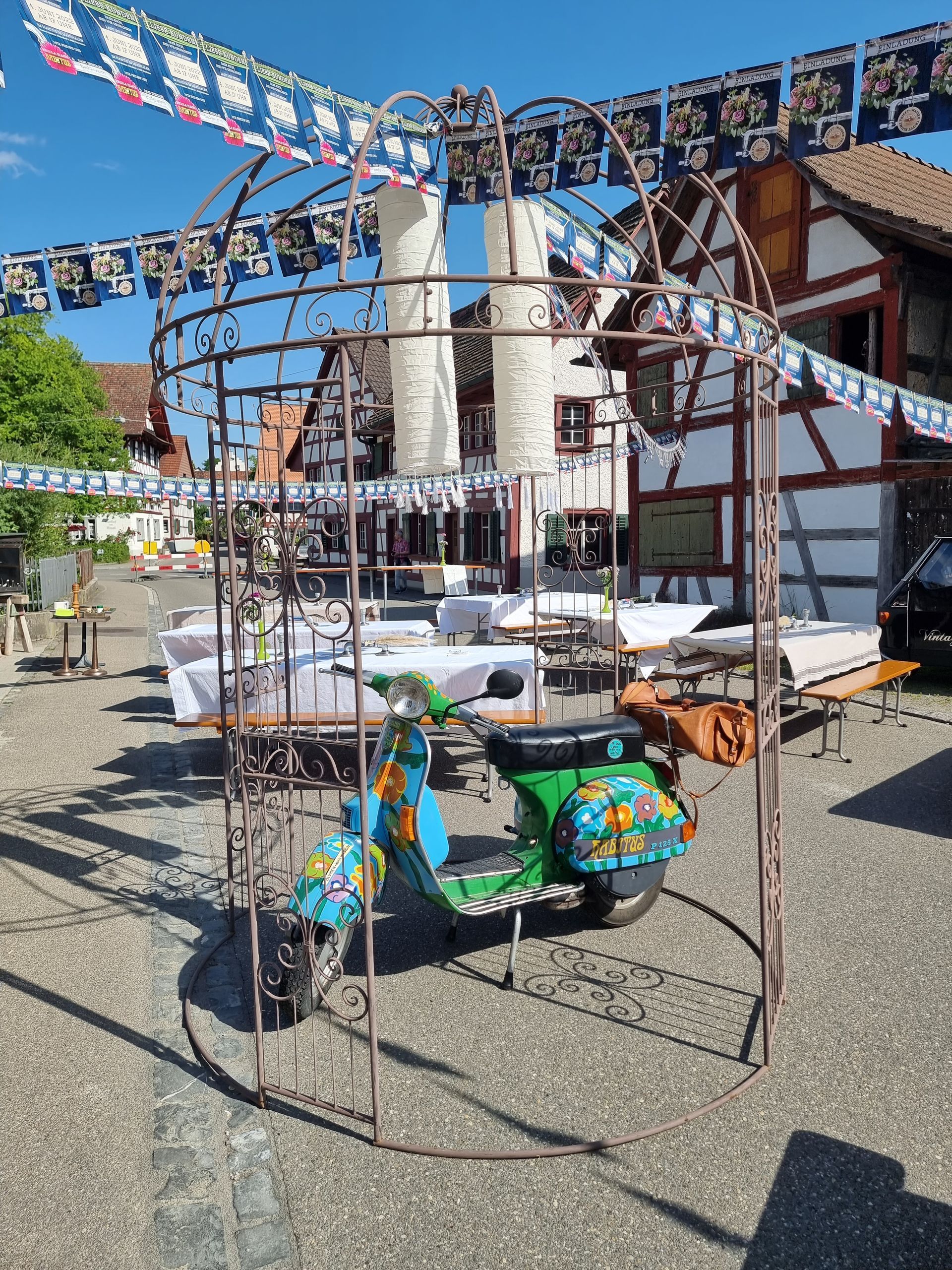 Blumen Habitus | Marthalen