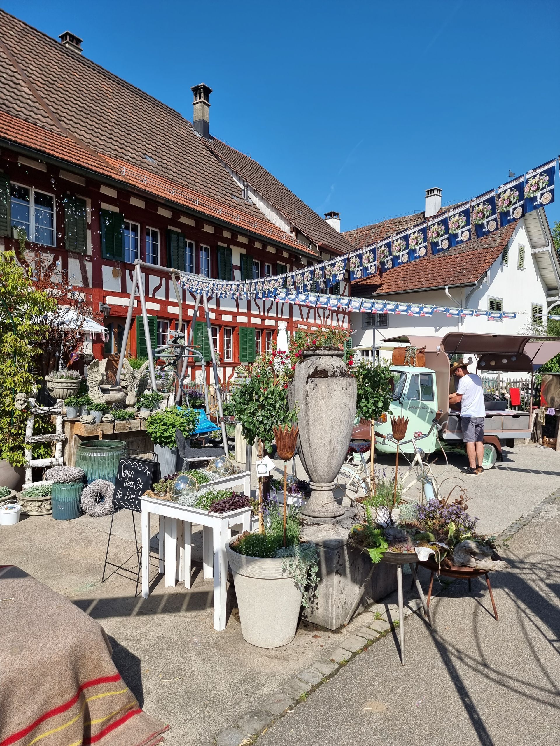 Blumen Habitus | Marthalen