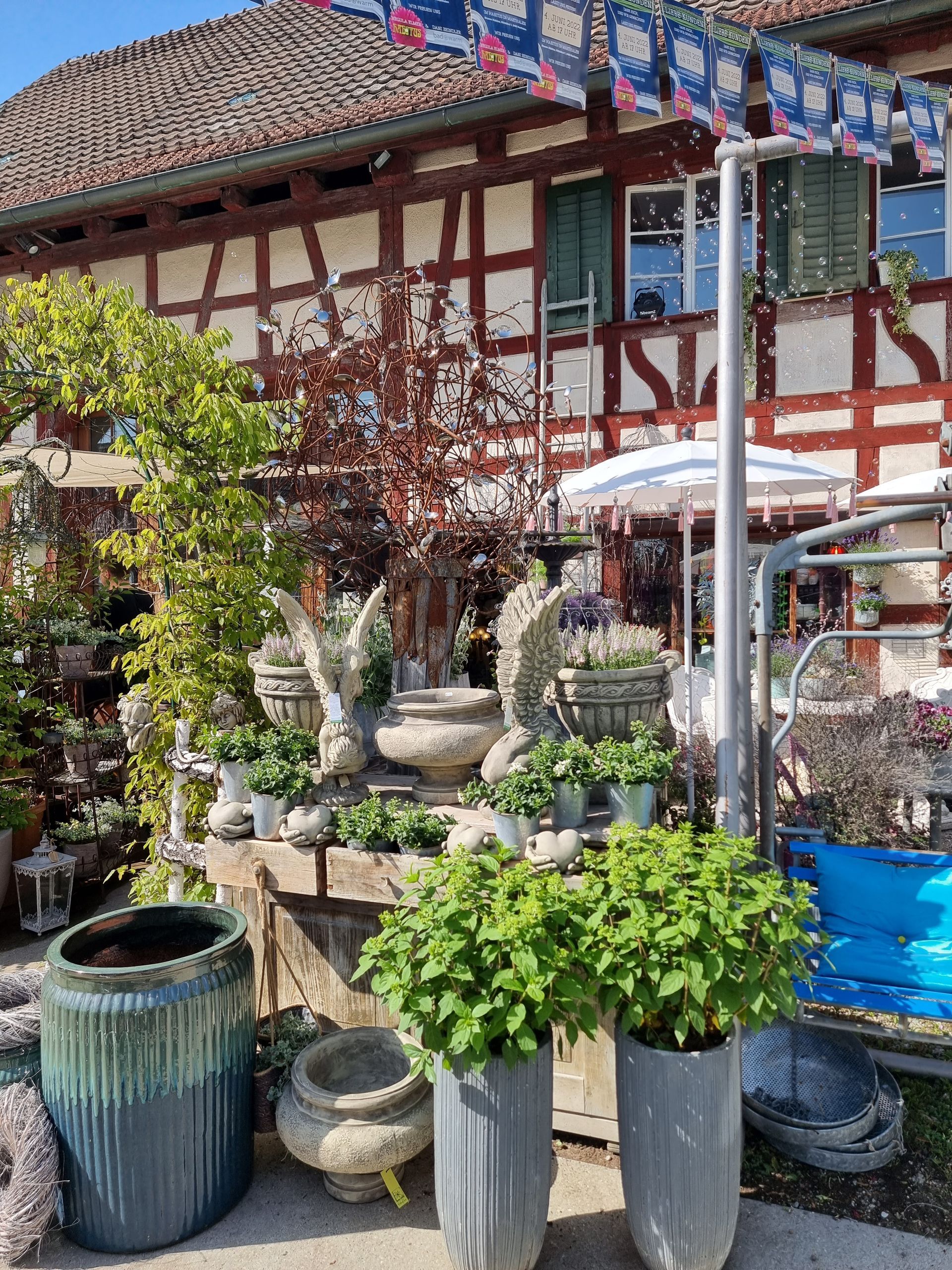 Blumen Habitus | Marthalen