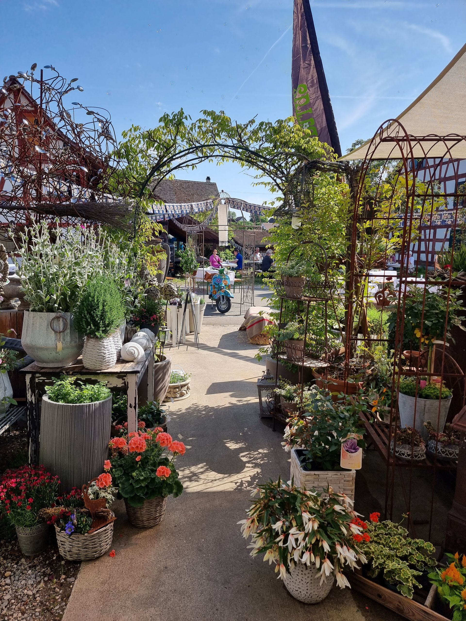 Blumen Habitus | Marthalen