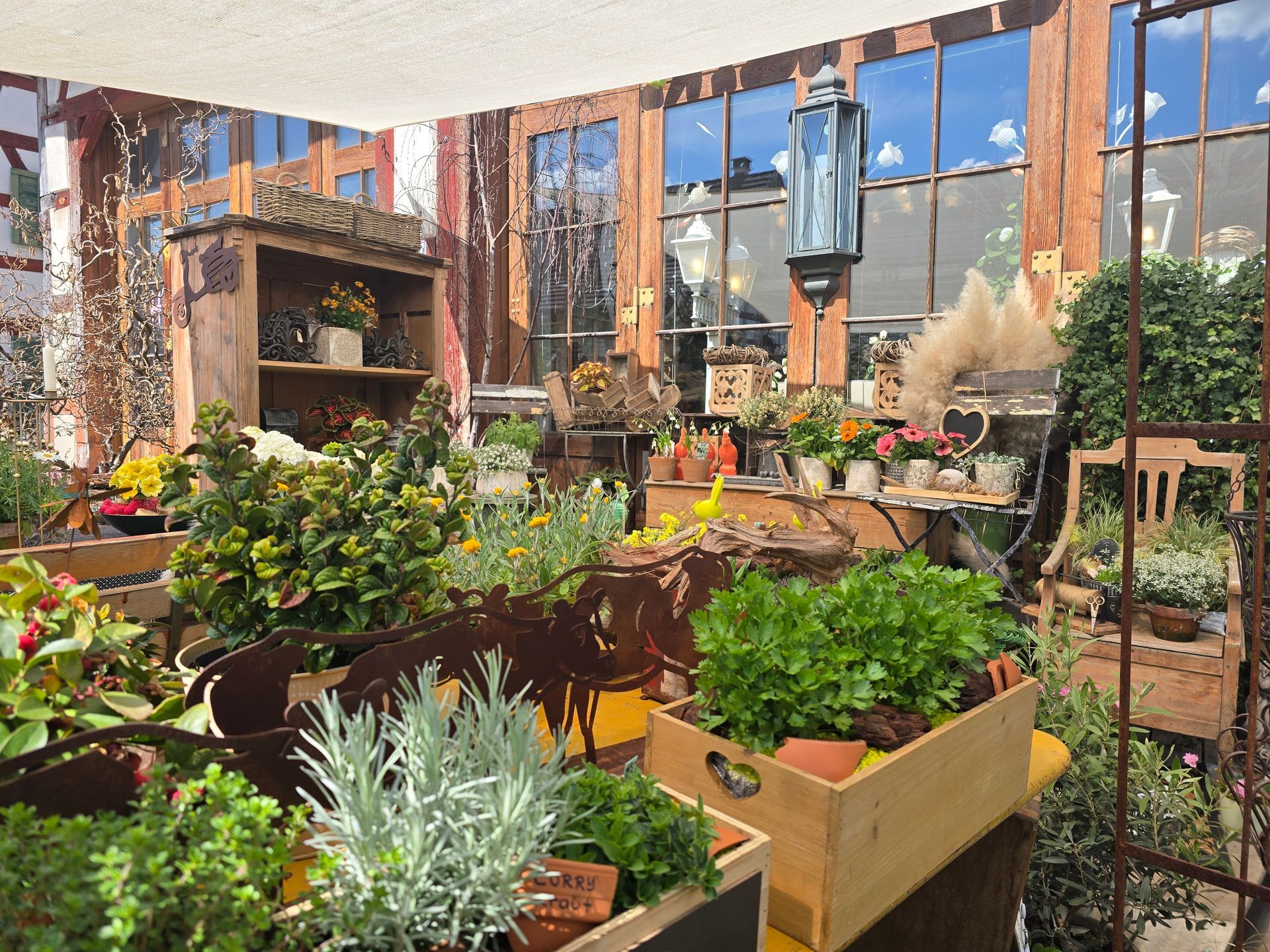 Ein Gewächshaus voller Topfpflanzen und Blumen.