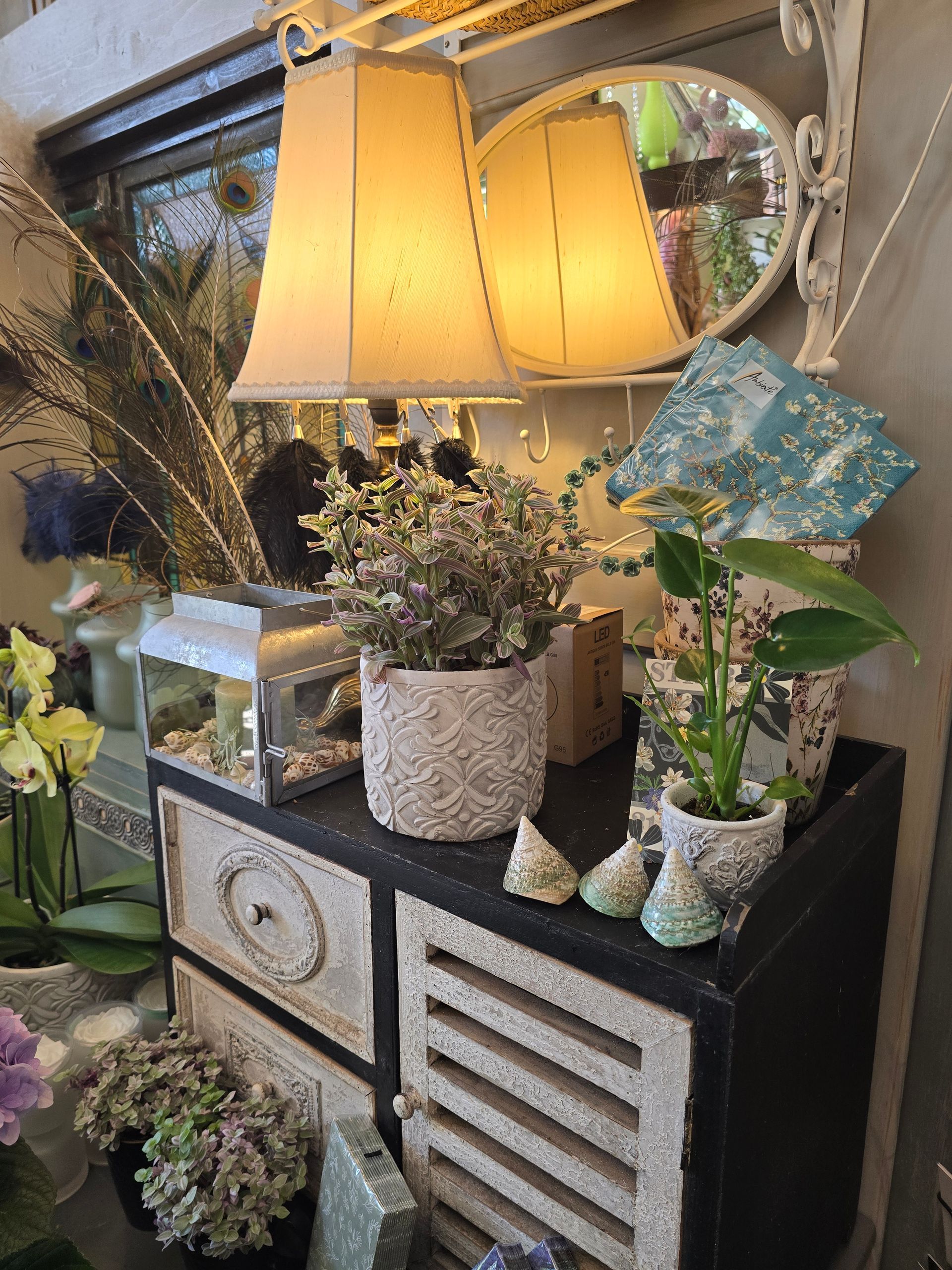 Auf einer Kommode steht neben Topfpflanzen eine Lampe.