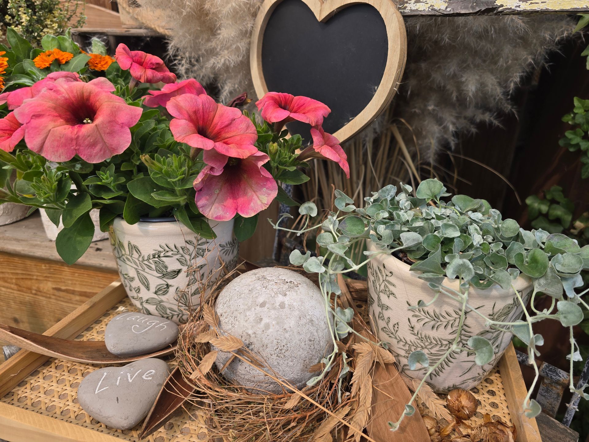 Ein Tablett mit Topfpflanzen und einer herzförmigen Tafel
