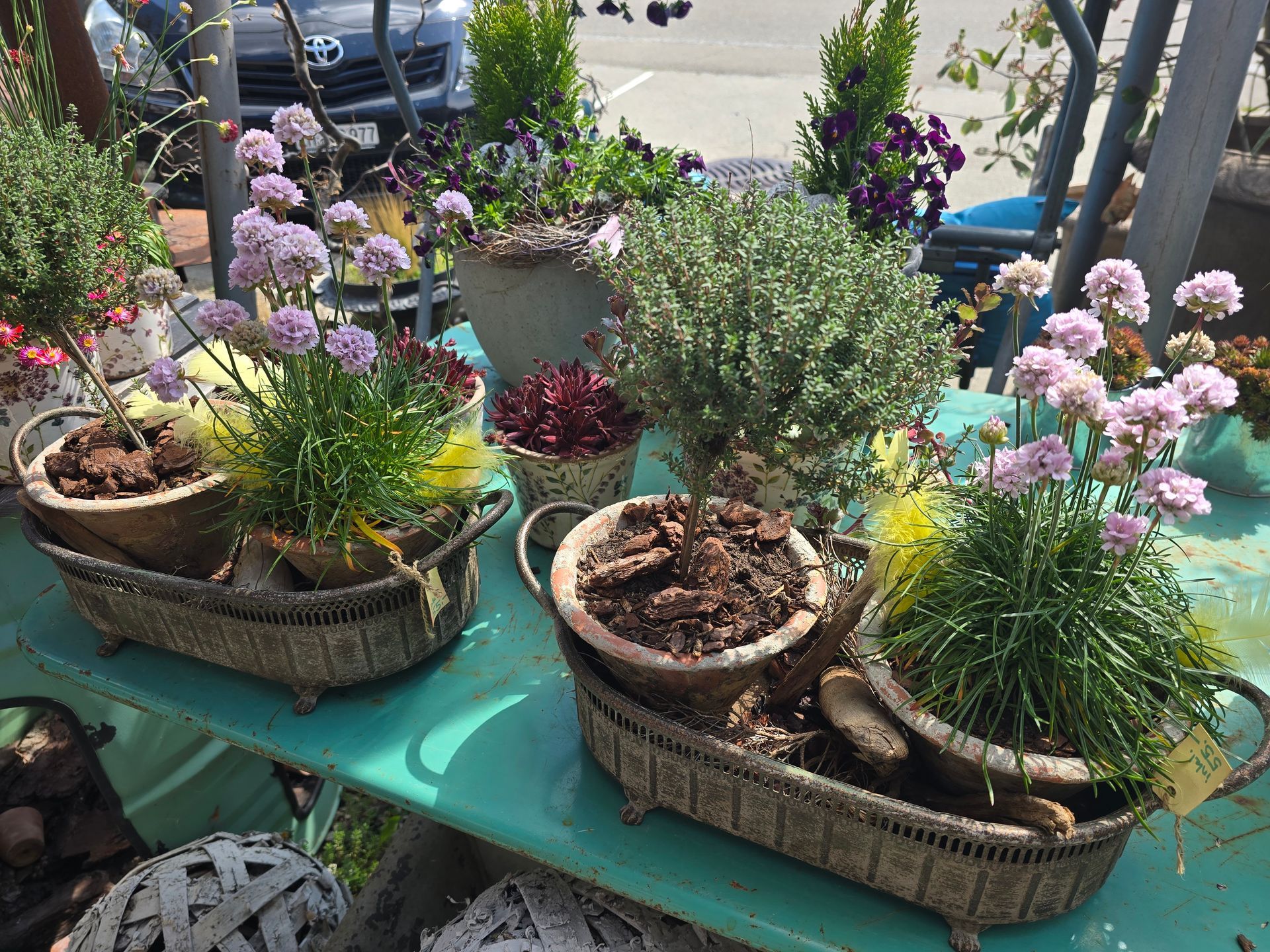 Ein Tisch mit einem Haufen Topfpflanzen darauf