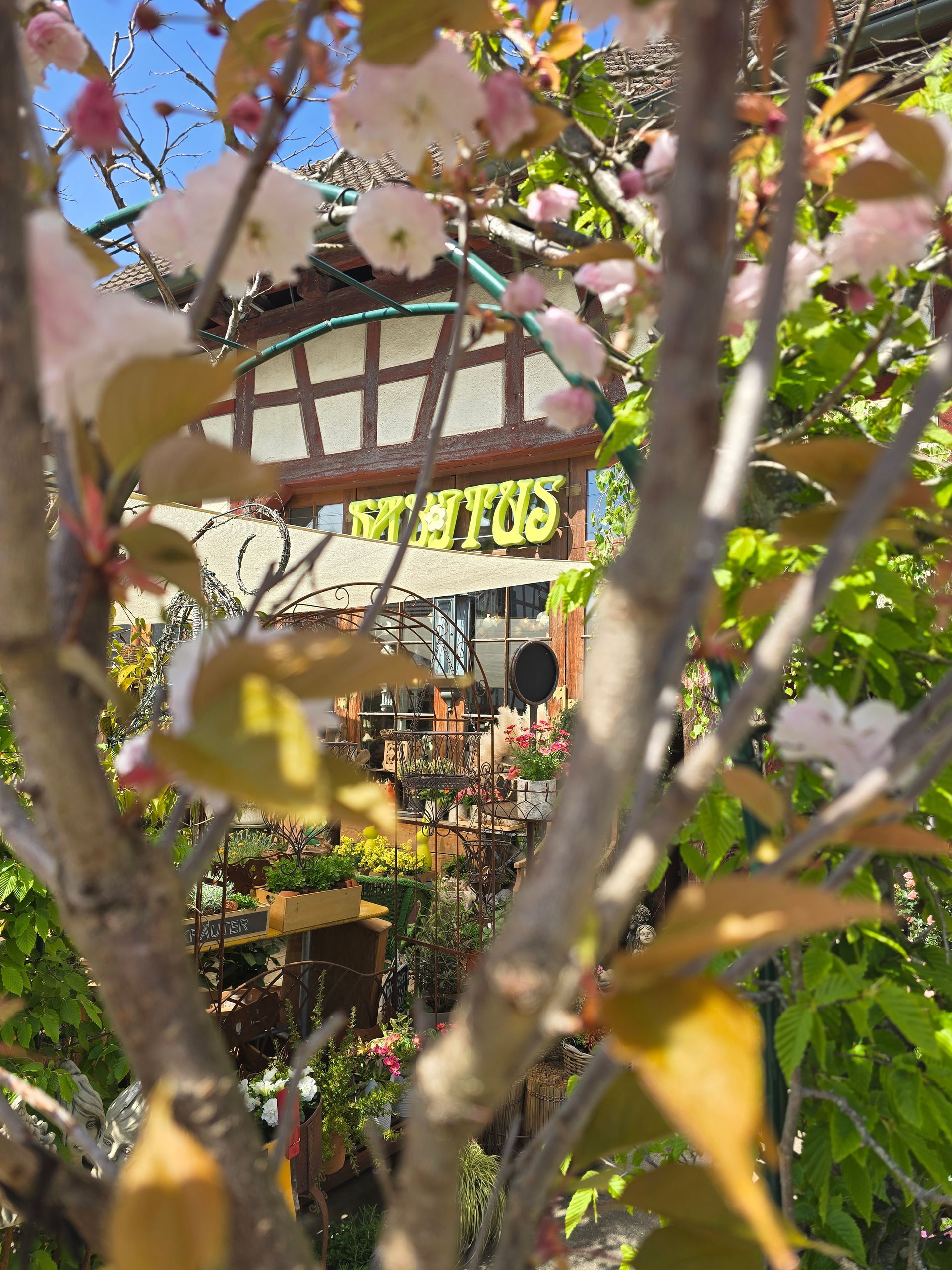 Ein Baum mit Blüten und Blättern vor einem Schild mit der Aufschrift „Stevens“.