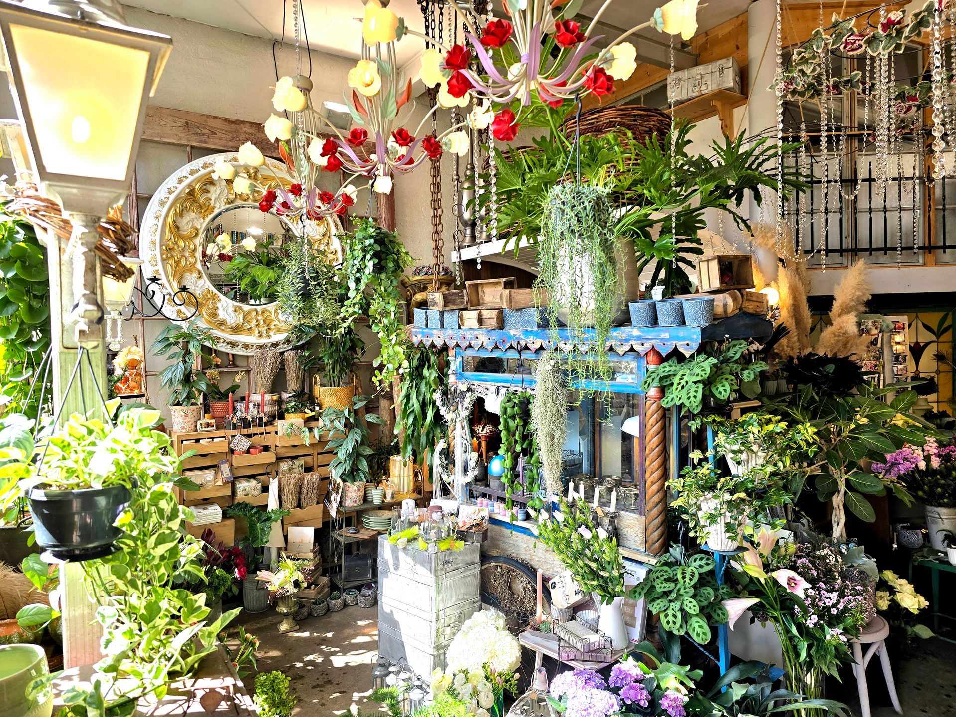 Ein Raum voller Topfpflanzen und Blumen.