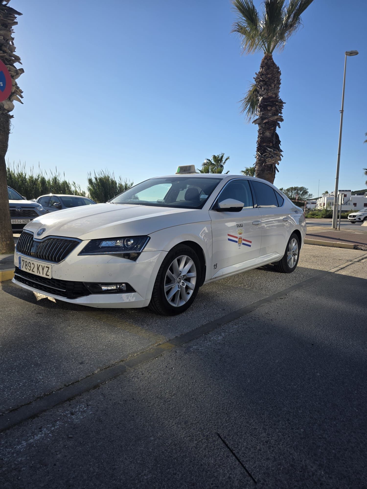 Sedán blanco estacionado en una calle soleada con palmeras y cielo azul despejado.