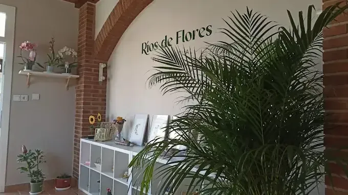 Interior de floristería con planta en primer plano, arreglos florales en estantes, letrero 