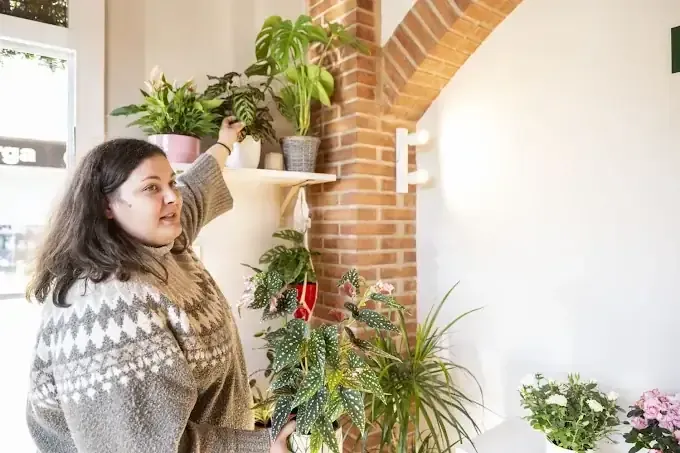 Mujer tocando plantas en un estante de una tienda, al lado de un arco de ladrillo.