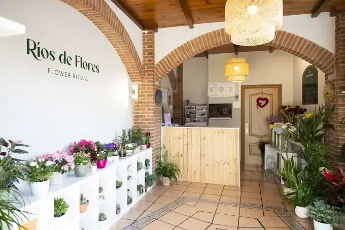 Interior de floristería con plantas, arcos y mostrador de madera.