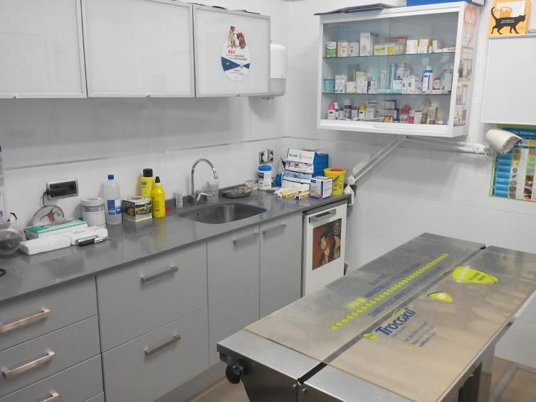 Un consultorio veterinario con una mesa y un lavabo.