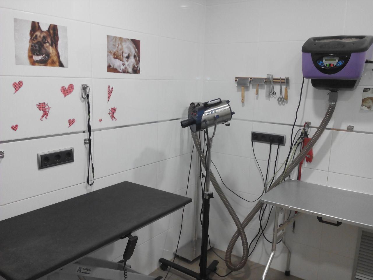Una sala de peluquería canina con una mesa y una máquina.