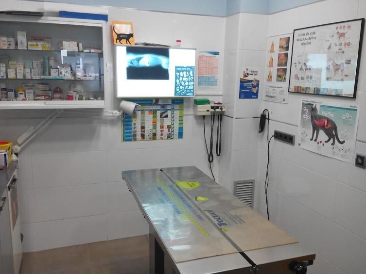Una sala de examen veterinario con una mesa y un monitor