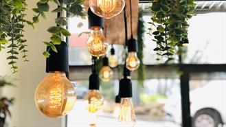 Hängende Glühbirnen mit warmem Licht, umgeben von grünen Hängepflanzen, in einem Café oder Restaurant.