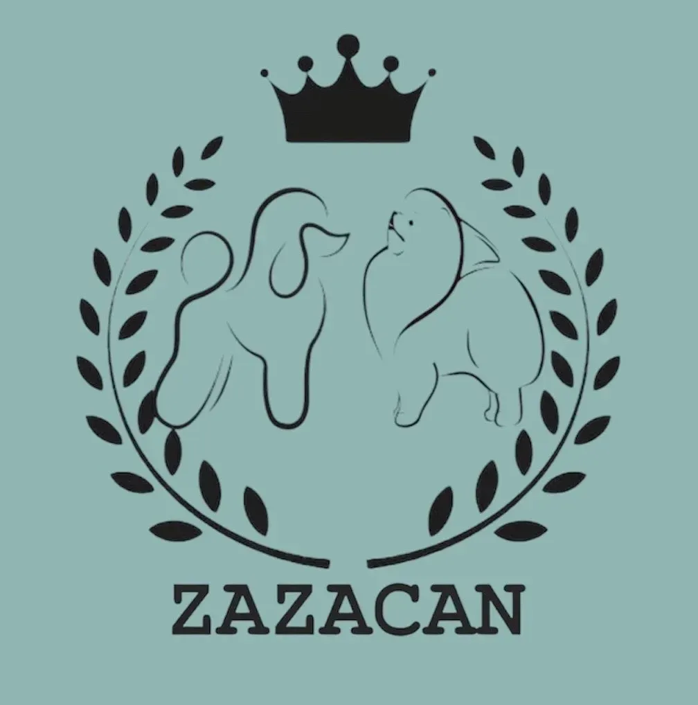 Logotipo con siluetas de caniche y pequinés, corona, corona de laurel y texto "ZAZACAN" sobre fondo verde azulado.