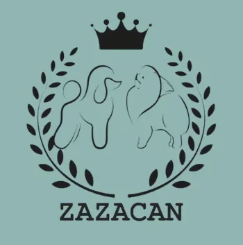 Logotipo con siluetas de caniche y pequin&eacute;s, corona, corona de laurel y texto "ZAZACAN" sobre fondo verde azulado.