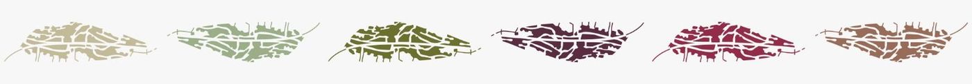 Un conjunto de pinceladas de diferentes colores sobre un fondo blanco.
