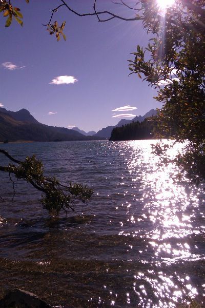 Ferienwohnung in Sils