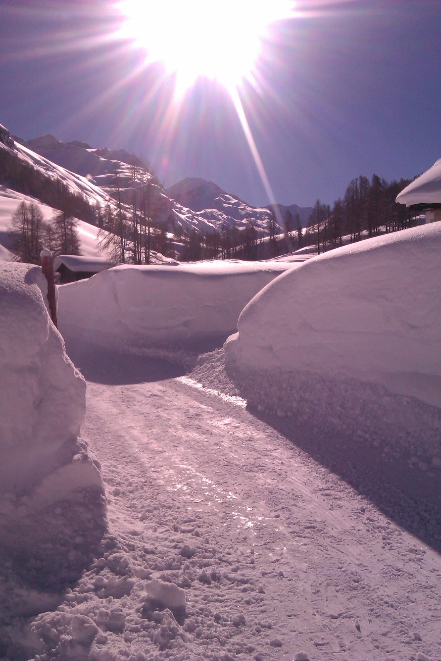 Ferienwohnung in Sils