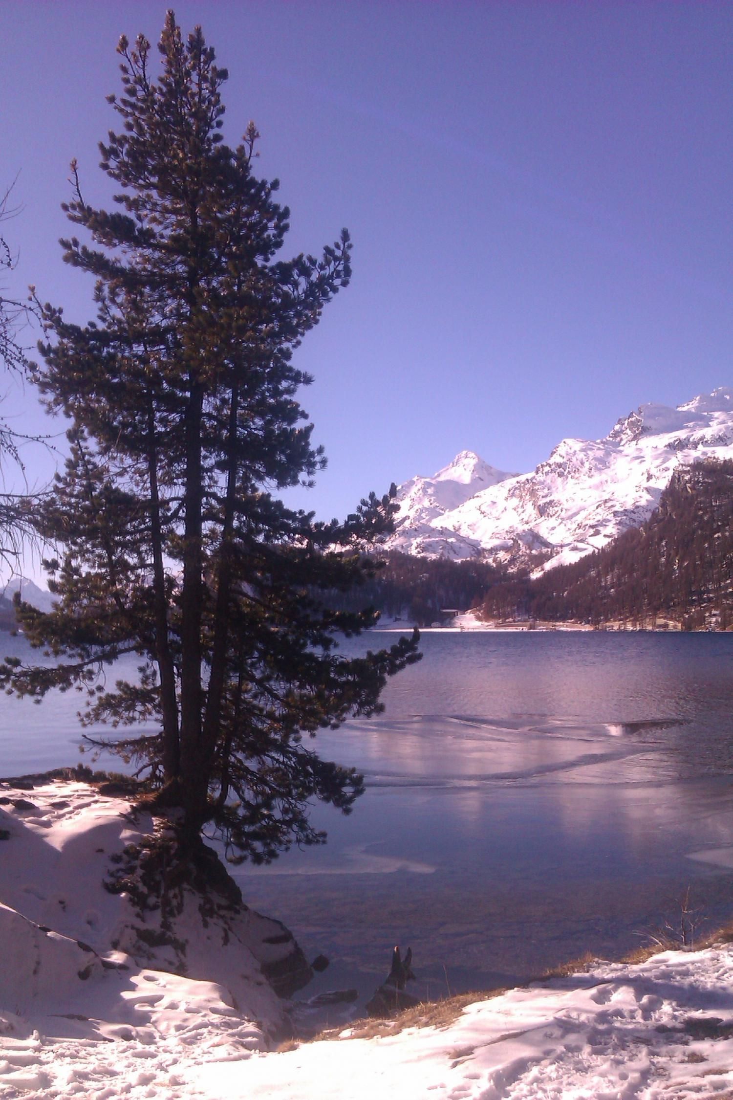 Ferienwohnung in Sils