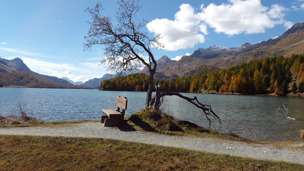 Ferienwohnung in Sils