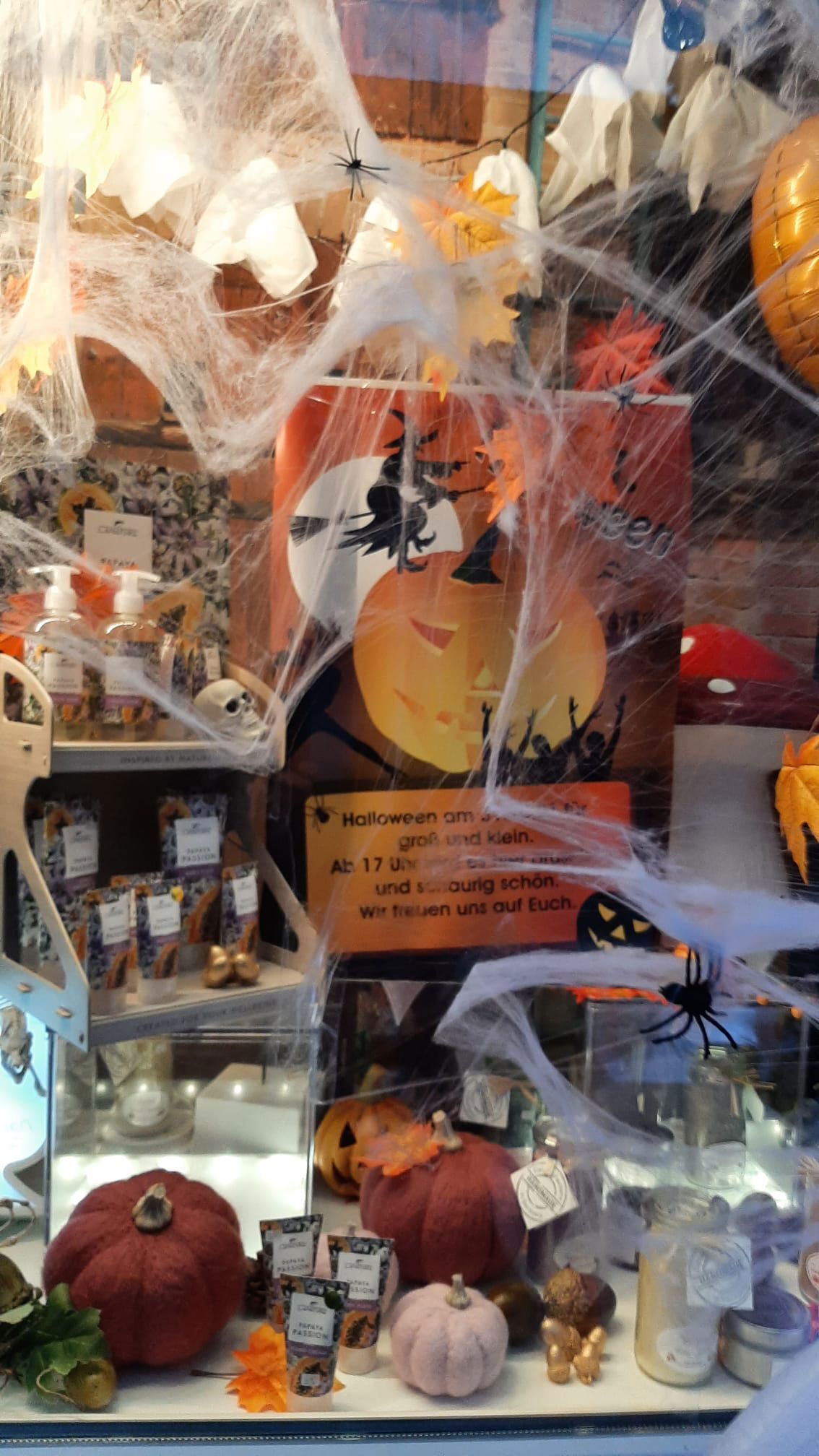 Schaufenster geschmückt zu Halloween