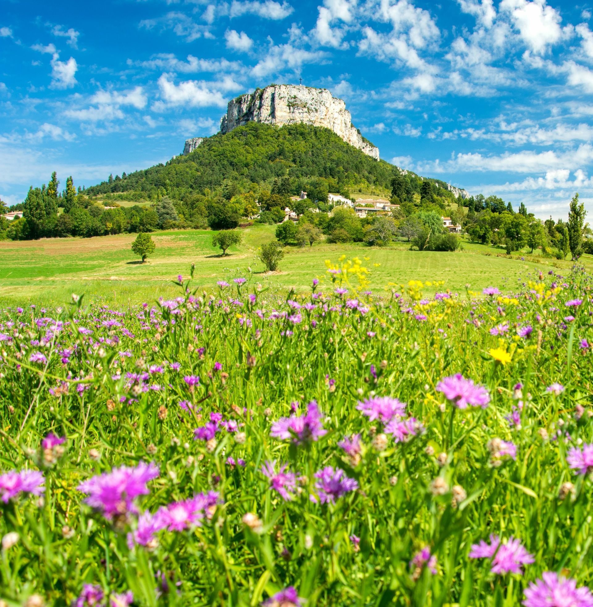 Un paysage de Provence
