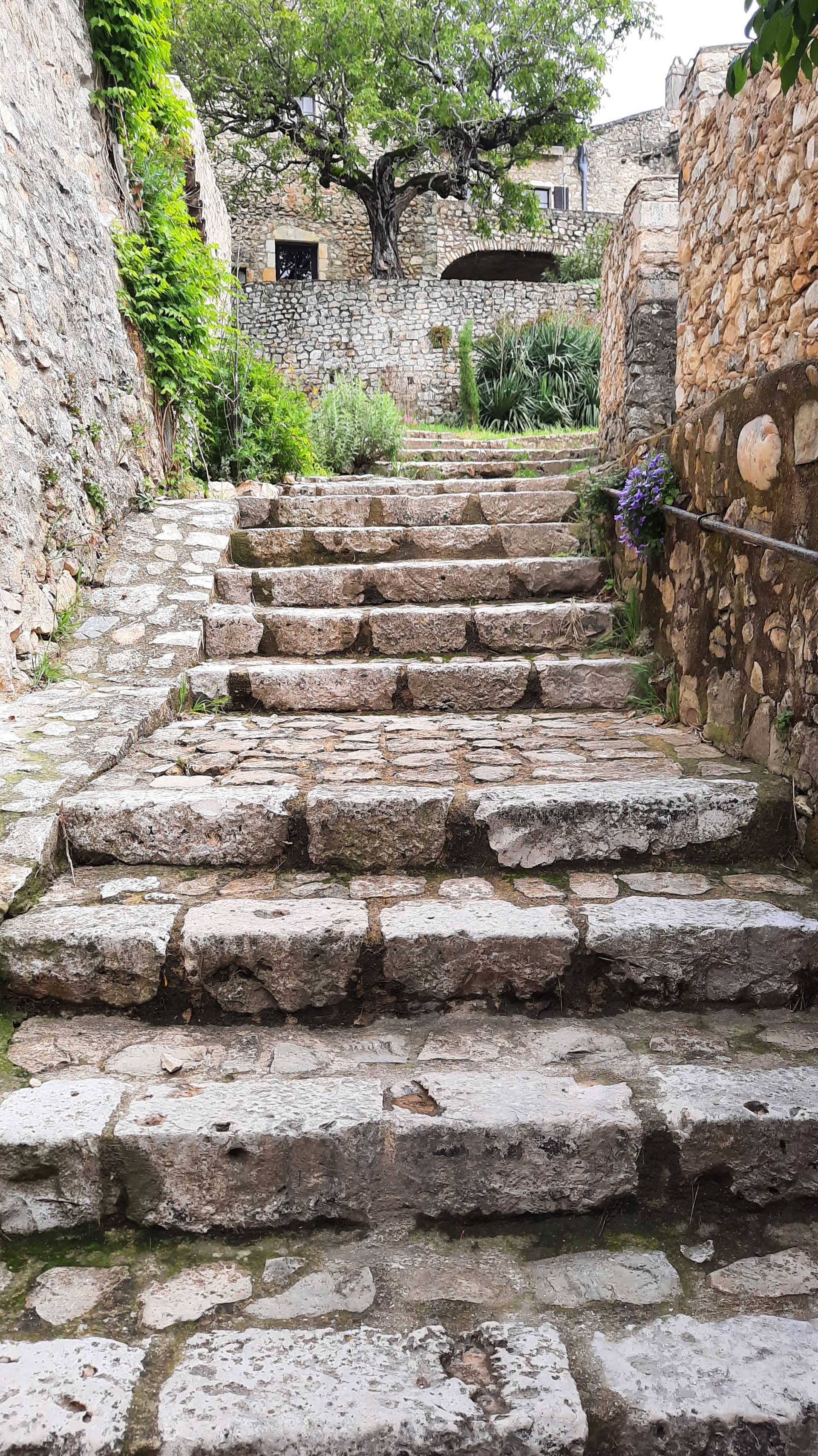 Une ruelle pavée de Mirmande