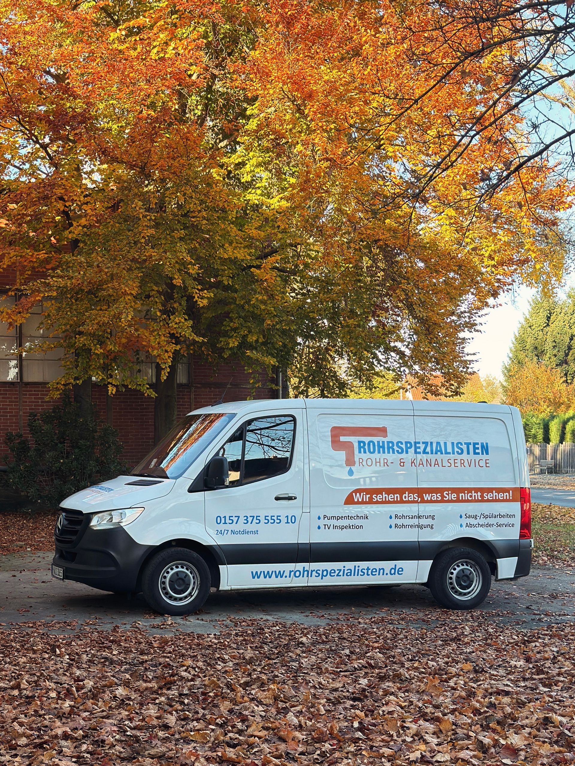 Ein weißer Lieferwagen parkt auf laubbedecktem Boden unter orangefarbenen Herbstbäumen