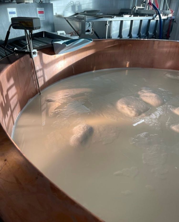 Laiterie-fromagerie, Philippe Pasquier