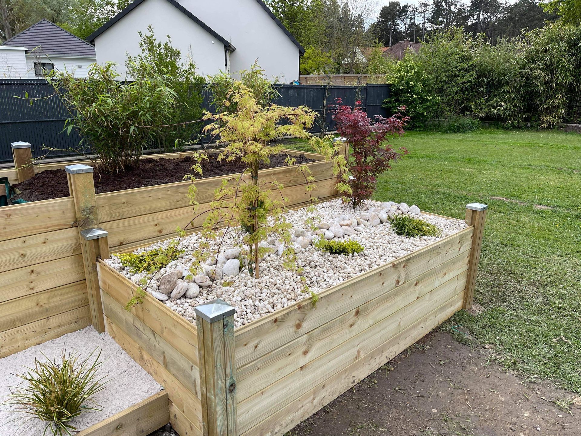 Jardin japonais avec plantes