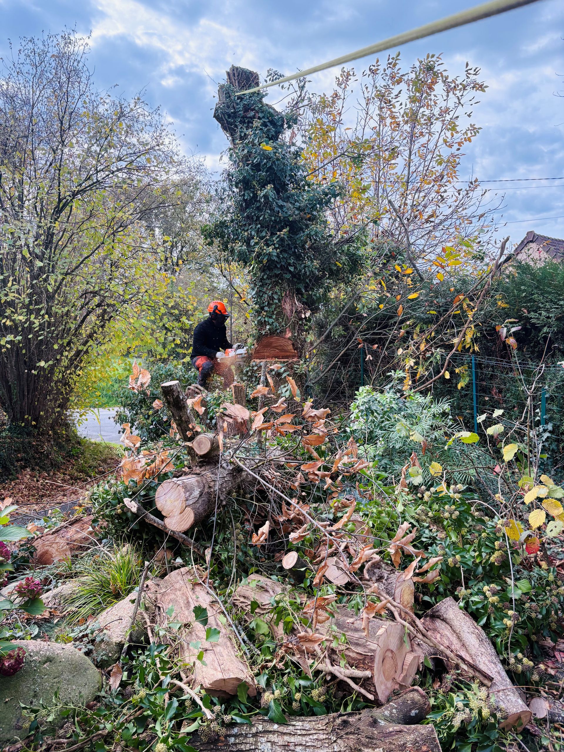 Une personne en tenue de sécurité élague un arbre, vue à travers les branches, sur fond de ciel nuageux.