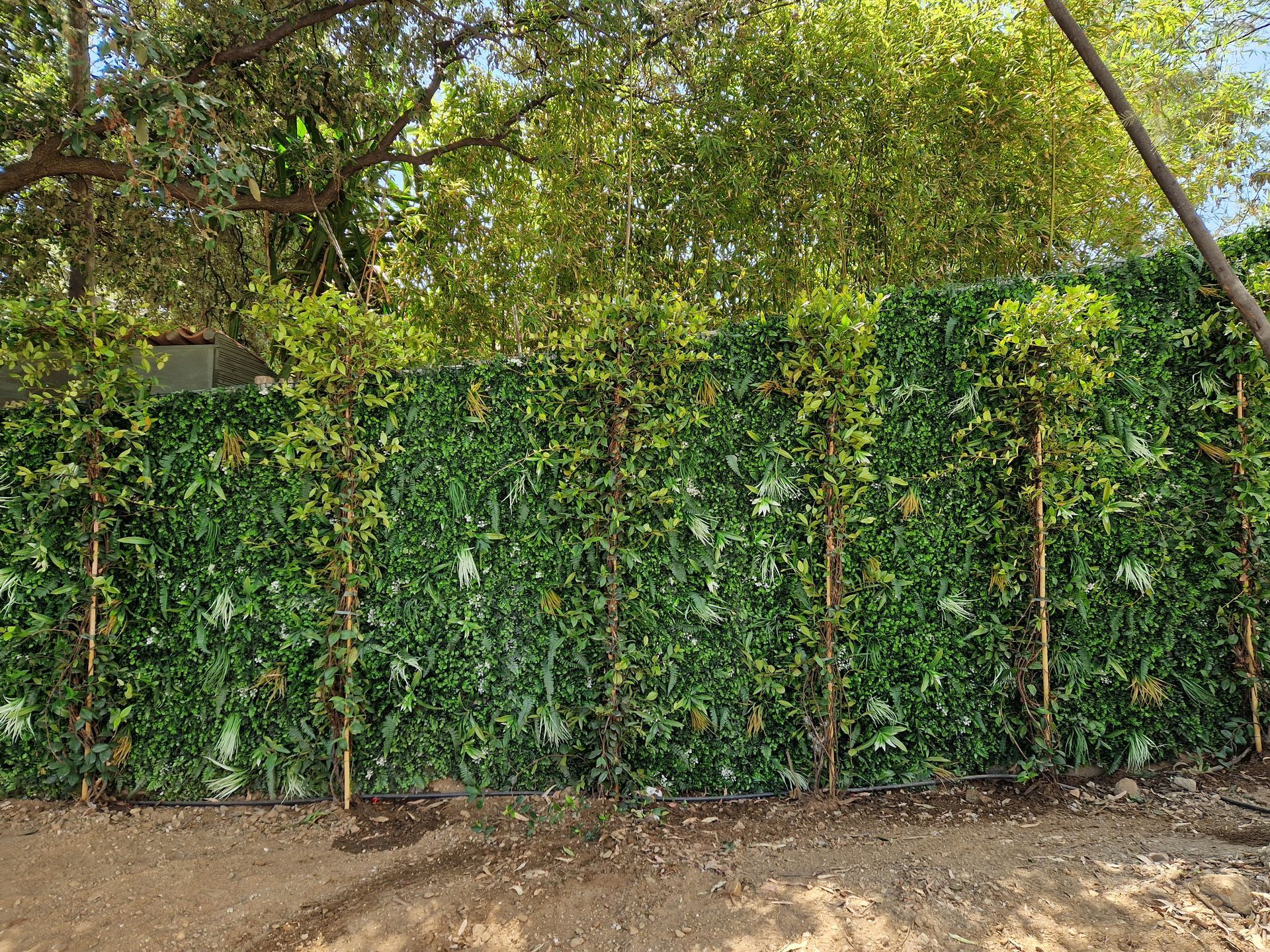 Création d'un mur végétalisé