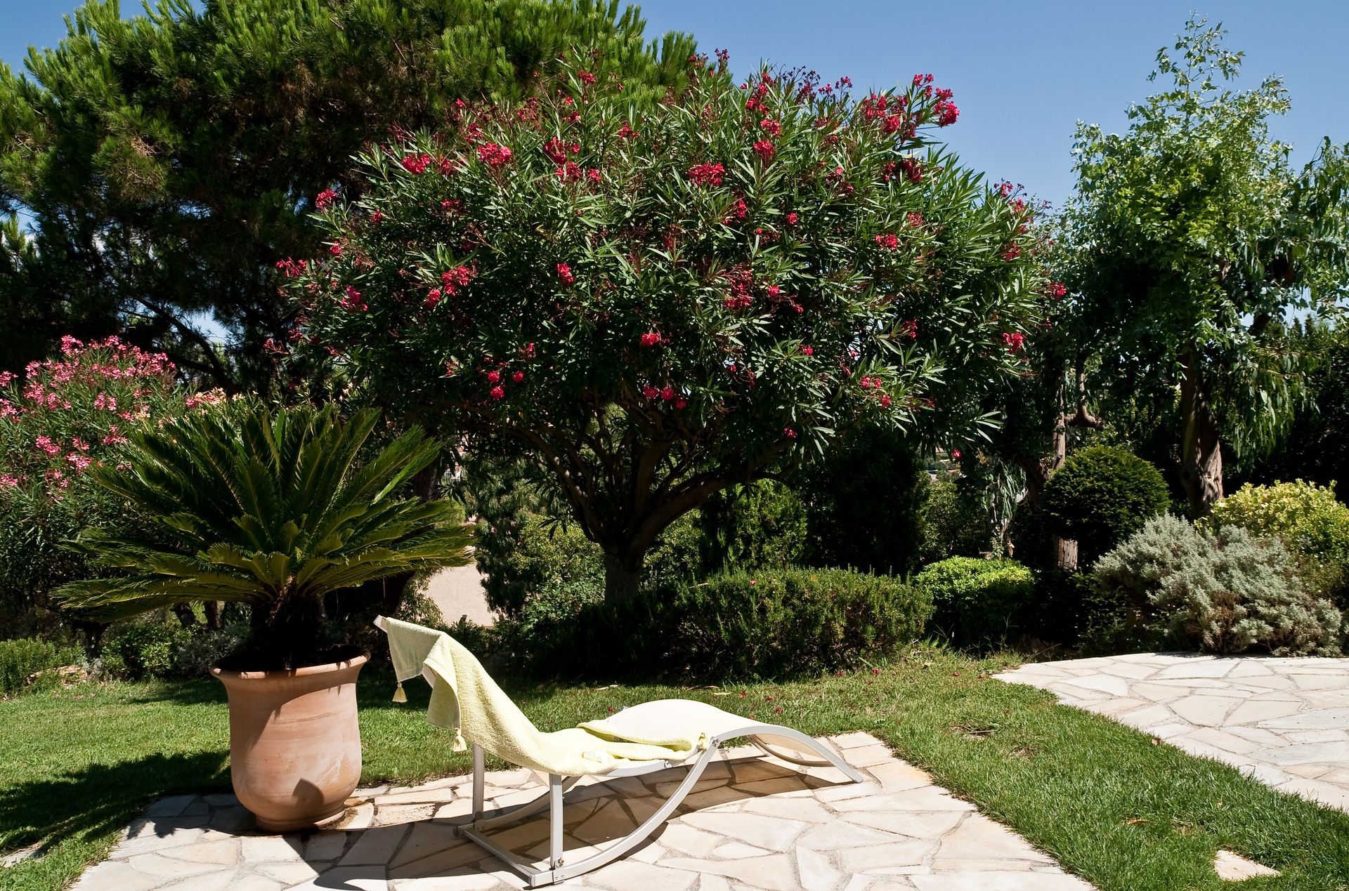 Un jardin d'agrément