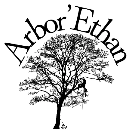 Logo d'Arbor'Ethan