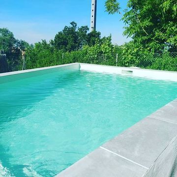 Una gran piscina rodeada de árboles y arbustos en un día soleado.