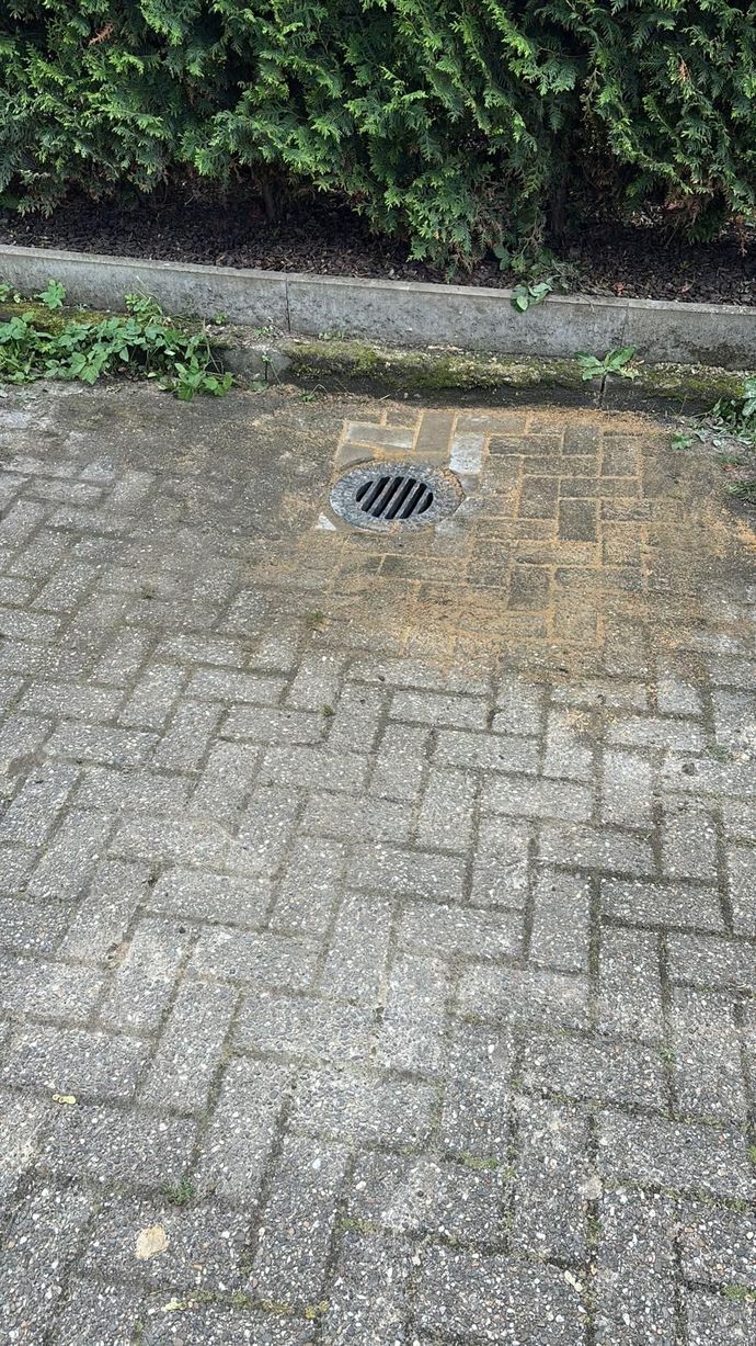 Ein Abfluss auf einer gepflasterten Auffahrt neben einem Busch.