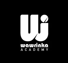 Logo blanc « WI » avec une balle de tennis sur fond noir, texte « Wawrinka Academy » en dessous.