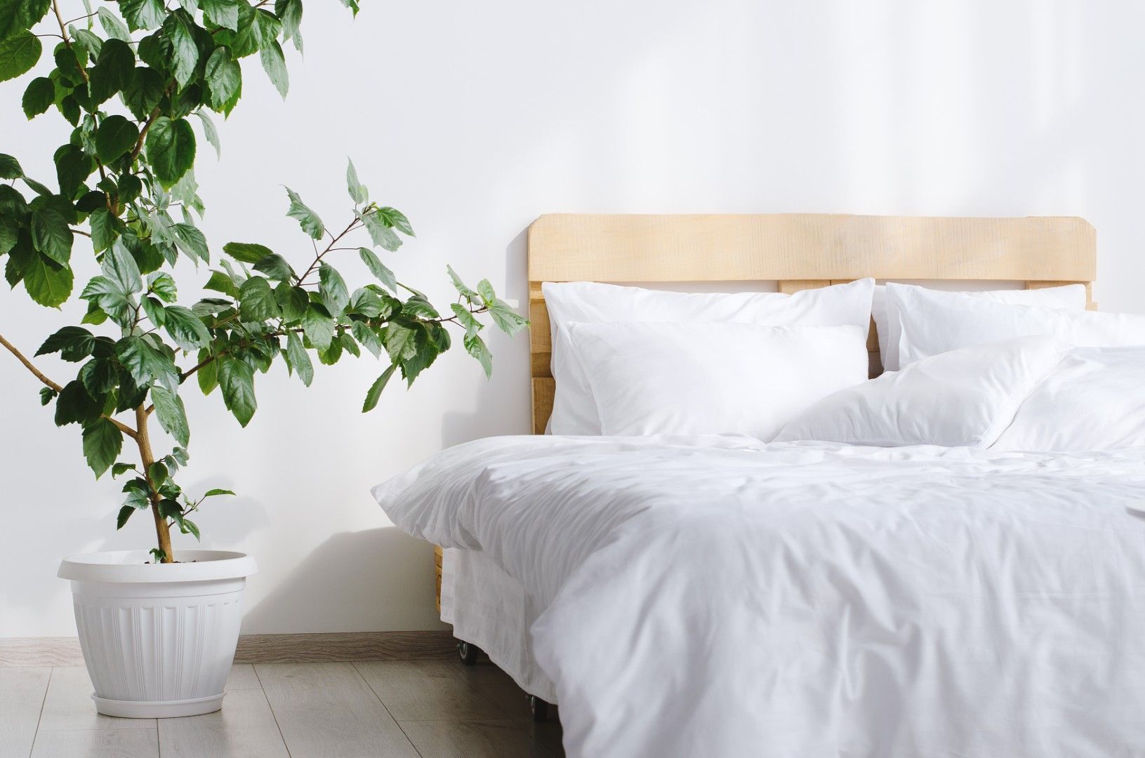 Habitación luminosa con cama blanca, cabecero de madera clara y una planta en maceta junto a la ventana.