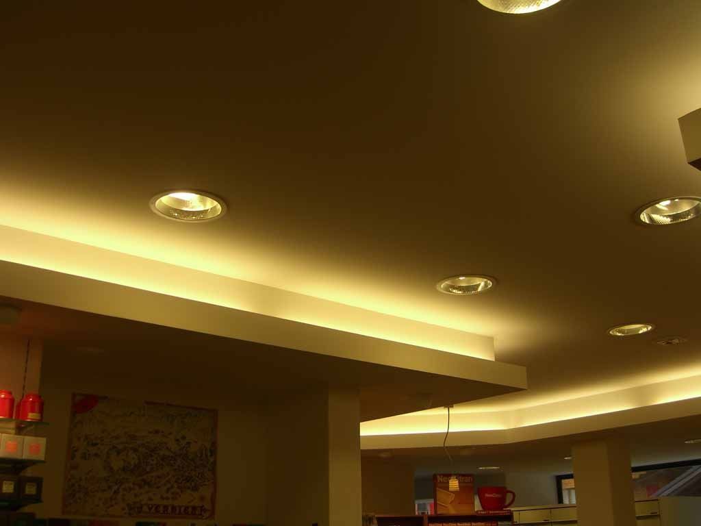 Plafond en plâtre - Dominique Muscianesi - Verbier