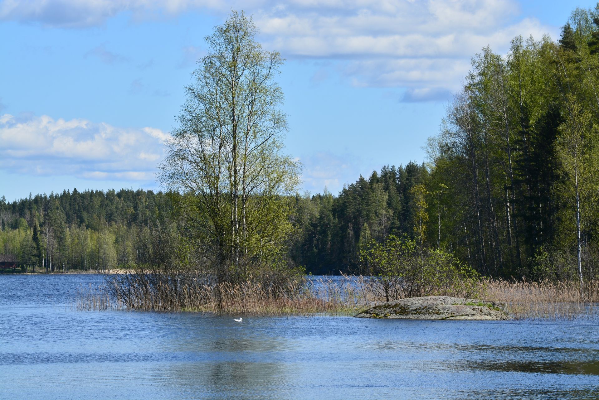 Tuusjärven Lintukoto Oy