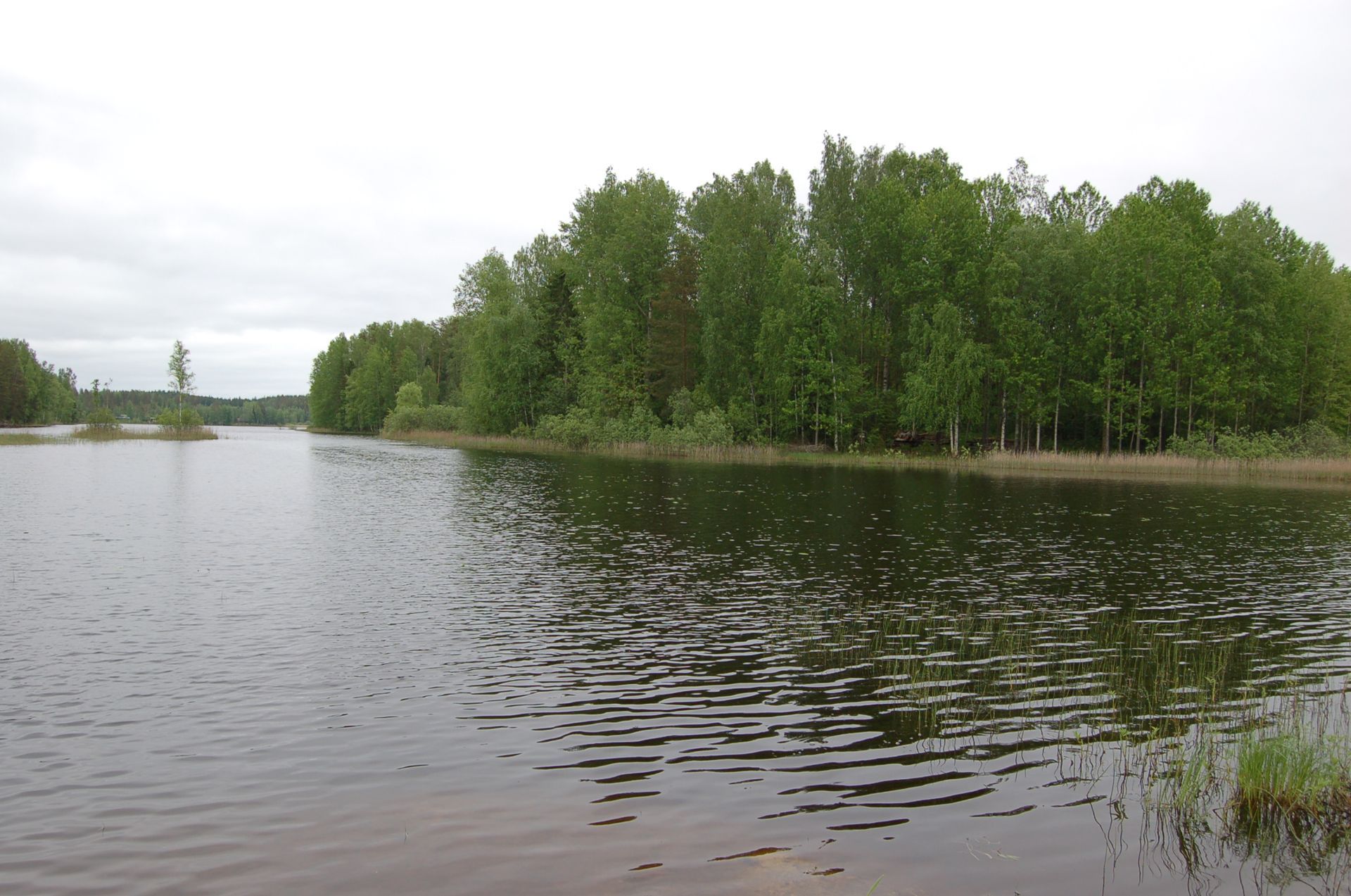 Tuusjärven Lintukoto Oy