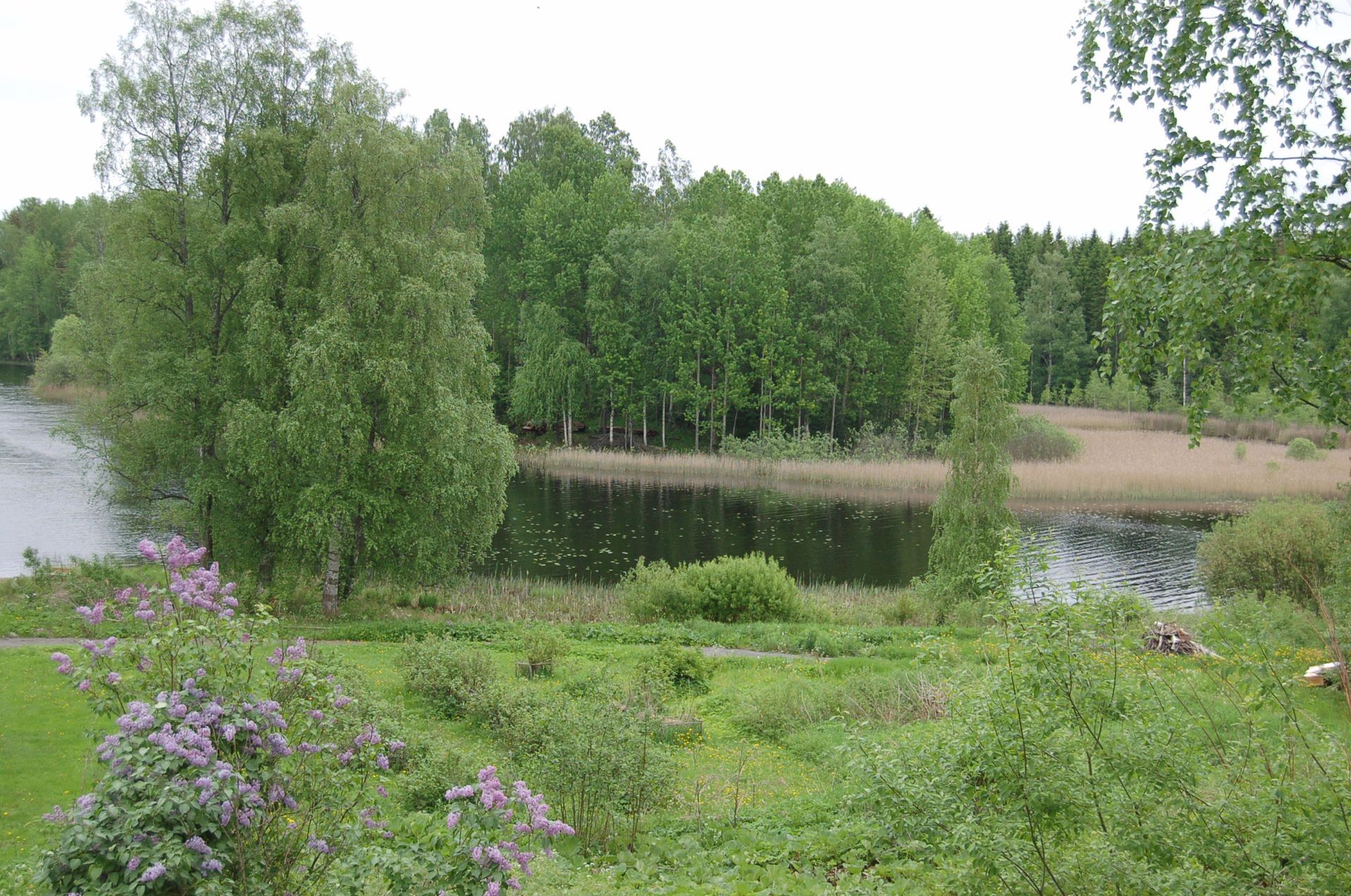 Tuusjärven Lintukoto Oy