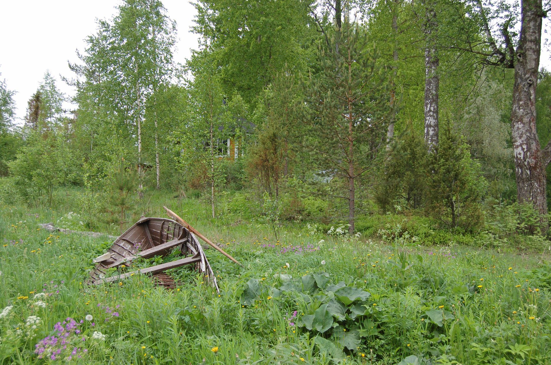 Tuusjärven Lintukoto Oy
