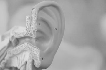 Tinnitus/Hörsturz