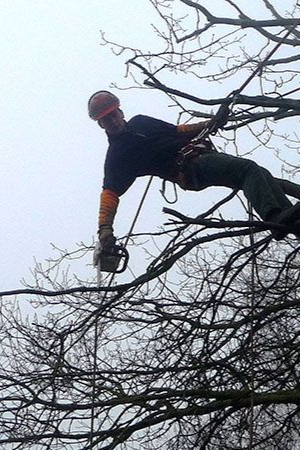 Un arboriste, casque sur la tête et équipement de sécurité, suspendu dans la canopée d'un arbre, tient une tronçonneuse.